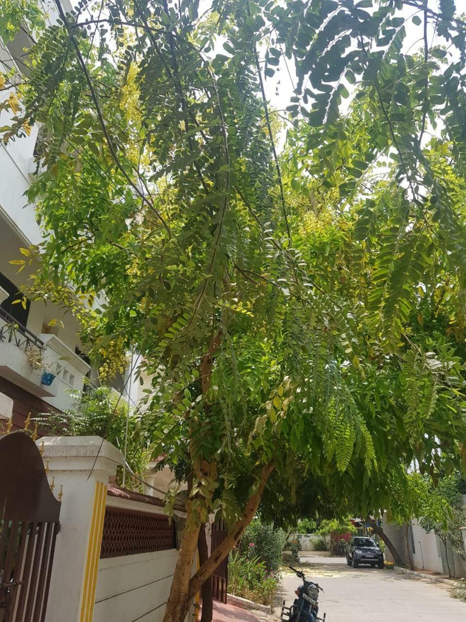 Royal Palace Guest House Τσενάι Εξωτερικό φωτογραφία